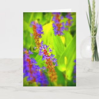 Wenskaart - Spatie binnen Kaart