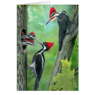 Wenskaart specht familie wildernis rood