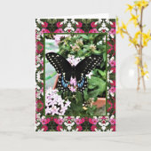 Wenskaart Swallowtail & Cosmos Kaart (Gele Bloem)