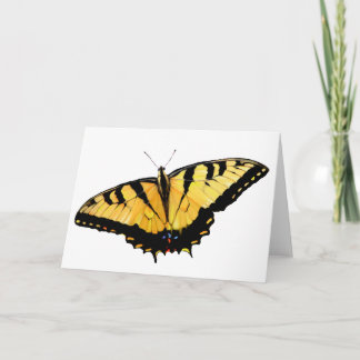 Wenskaart Tiger Swallowtail Kaart