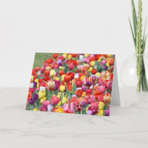 Wenskaart Tulpbloemen Kaart