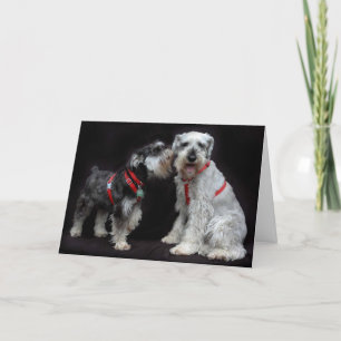 Wenskaart Twee het Fluisteren Schnauzers Kaart