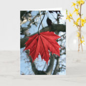 Wenskaart van aple Leaf Kaart (Gele Bloem)