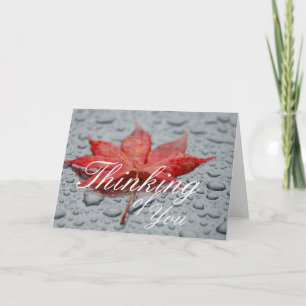 Wenskaart van aple Leaf Kaart
