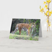 Wenskaart van Bengal Tiger Kaart (Gele Bloem)