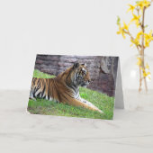 Wenskaart van Bengal Tiger Kaart (Gele Bloem)