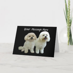 Wenskaart van Bichon Buddies Feestdagen Kaart