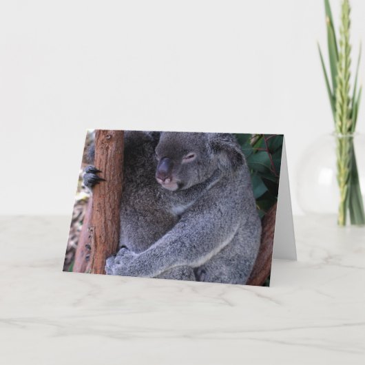 Wenskaart van de familie Koala Kaart (Voorkant)