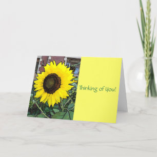 Wenskaart van de grote zonnebloem kaart