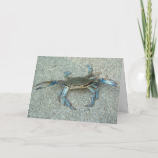 Wenskaart van de Krab van Maryland het Blauwe Kaart