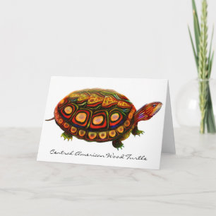 Wenskaart van de Midden-Amerikaanse houtschildpad Kaart