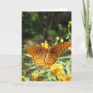 Wenskaart van de nieuwsgierigheid (3) kaart