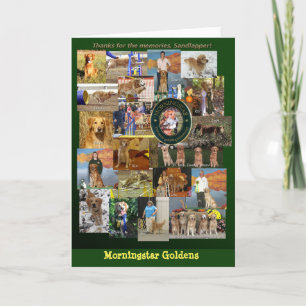 Wenskaart van de Retrievers van Morningside het Kaart