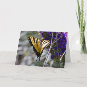 Wenskaart van de swallowtail Butterfly Kaart