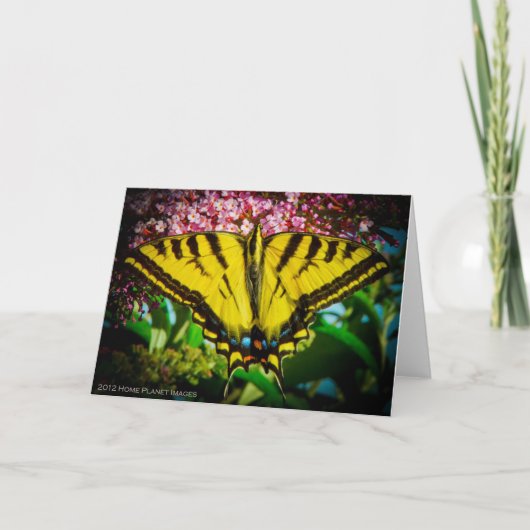 Wenskaart van de swallowtail Butterfly Kaart (Voorkant)