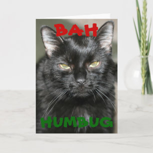 Wenskaart van de Vakantie van de Kat van Humbug Feestdagen Kaart