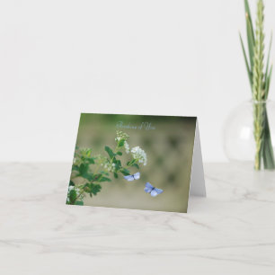 Wenskaart van de vlindertuin kaart