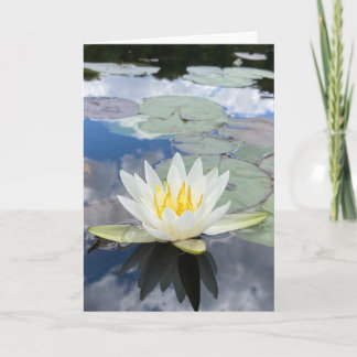 wenskaart van de waterlelie (blanco binnenin) kaart