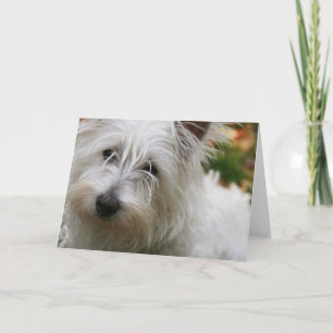 Wenskaart van de West Highland Terrier Kaart