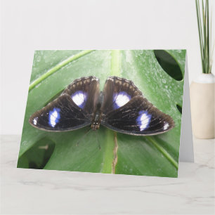 Wenskaart van een prachtig blauw gebotteld vlinder kaart