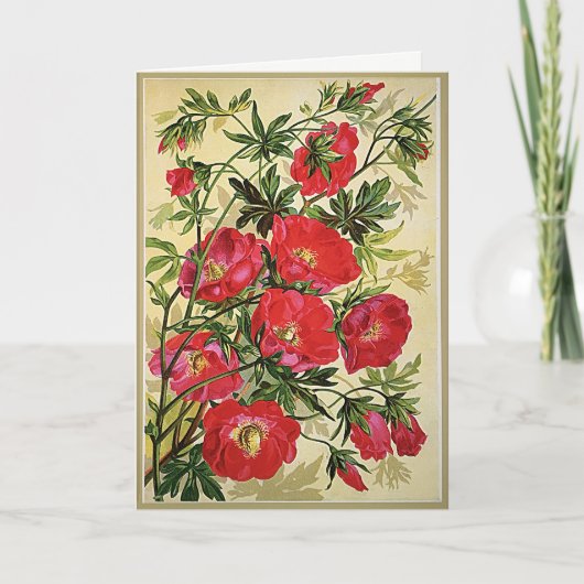  Wenskaart van Floral Poppies Birthday Kaart (Voorkant)