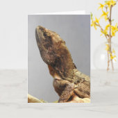 Wenskaart van hagedissen kaart (Gele Bloem)