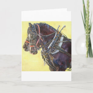 Wenskaart van het Percheron Draft horse team Kaart