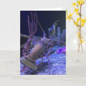 wenskaart van kreeft (grappig van binnen) kaart (Gele Bloem)