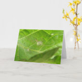 Wenskaart van Little Spider Kaart (Gele Bloem)