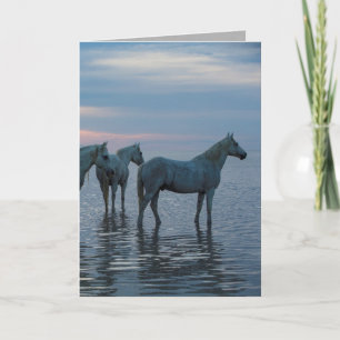 Wenskaart van paarden - Camargue Horses die kijken Kaart