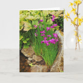 wenskaart van Paarse irisbloem Kaart (Gele Bloem)