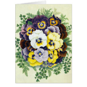 Wenskaart van Pansies