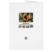 Wenskaart van papaja's (Achterkant)