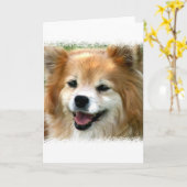 Wenskaart van Pommeren Kaart (Gele Bloem)