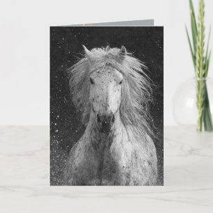 Wenskaart van spuitpaarden kaart