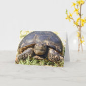 Wenskaart van Tortoise Kaart (Gele Bloem)