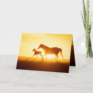 Wenskaart van wilde paarden - Hope Bedankkaart