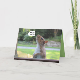 wenskaart voor de gedenkgelegenheid van de eekhoor kaart