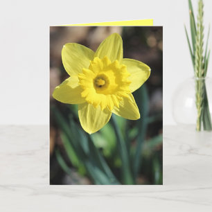 Wenskaart voor de lente! kaart