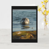 Wenskaart voor havenzegel kaart (Gele Bloem)