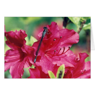 Wenskaart voor openlaten van libellen