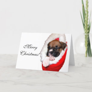 Wenskaart voor pretkerboxerpuppy feestdagen kaart