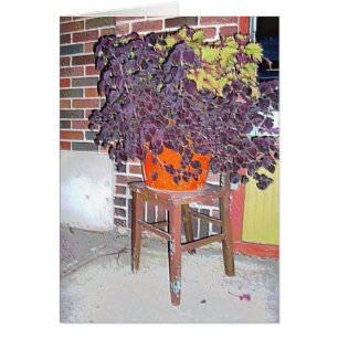 WENSKAART: Voorzitter in Linden Hills_Kaart