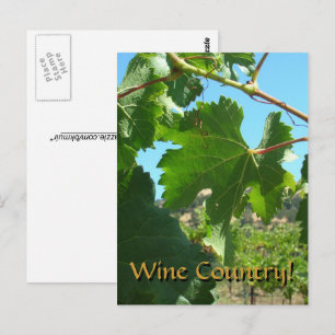 Wenskaart - Wijnland Briefkaart