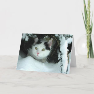 Wenskaart WiLSoN XMaS Feestdagen Kaart