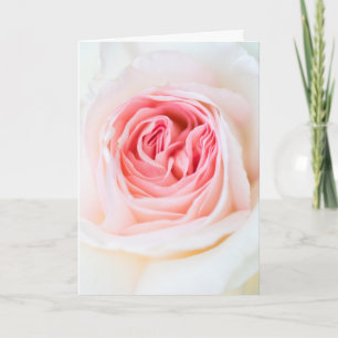 wenskaart "WITTE ROSE STROOM" Kaart