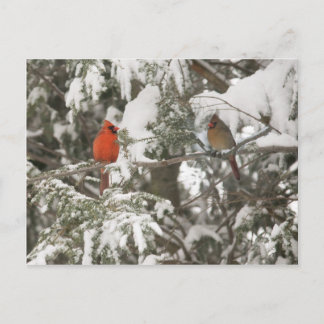 Wenskaarten Briefkaart