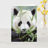 Wenskaarten Foto reuzenpanda. Panda reus. Kaart (Gele Bloem)