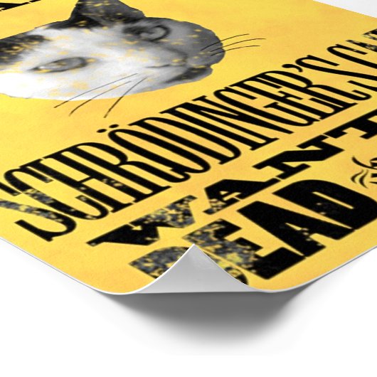 WENST: HET CAT-poster VAN SCHRODINGER Poster (Hoek)