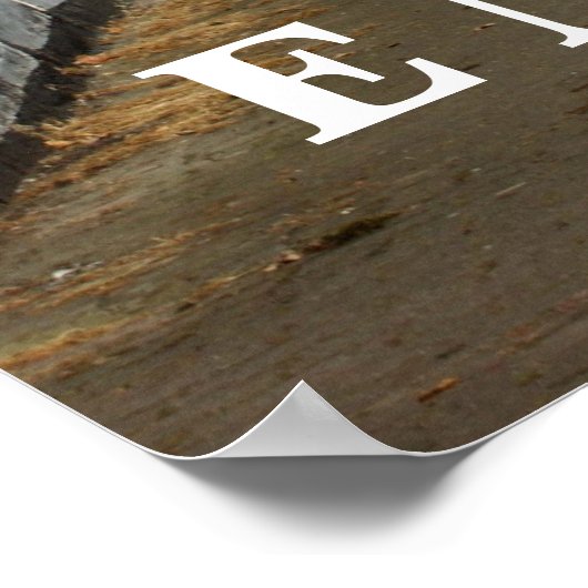 Weobley, Herefordshire Poster (Hoek)